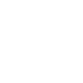 iveco-logo